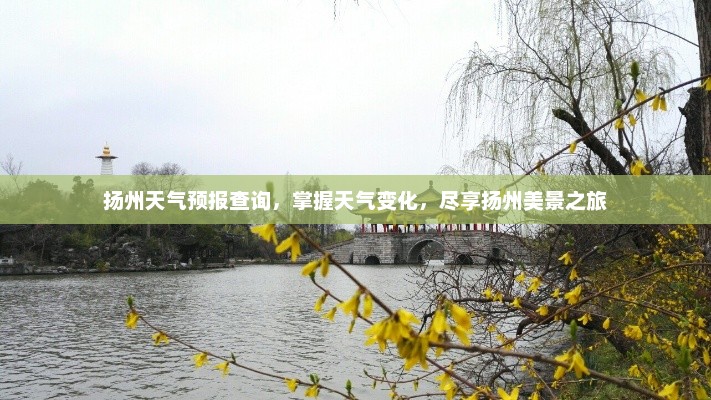 扬州天气预报查询，掌握天气变化，尽享扬州美景之旅