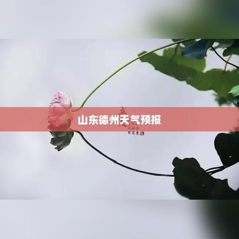 山东德州一周天气预报及详细气象解析