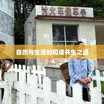 湖北恩施天气预报，自然与生活的和谐共生之道