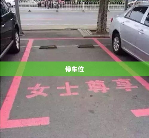 广东乡镇停车产业破亿销售额背后的真相揭秘，官方回应揭晓答案