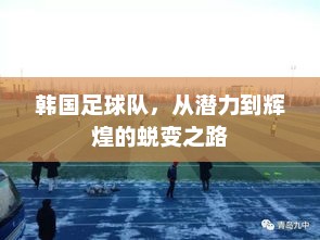韩国足球队，从潜力到辉煌的蜕变之路