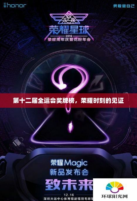 第十二届全运会奖牌榜，荣耀时刻的见证
