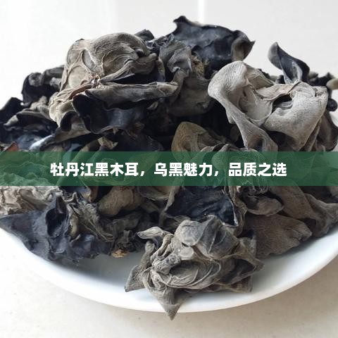 牡丹江黑木耳,乌黑魅力,品质之选 牡丹江黑木耳,乌黑魅力,品质之选