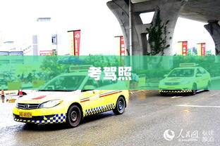 揭秘刘晓庆美国驾考之旅，偶遇的瞬间与明星的驾驶梦想