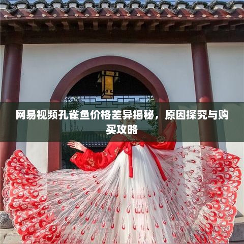 网易视频孔雀鱼价格差异揭秘，原因探究与购买攻略