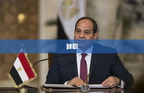埃及总统塞西宣布辞职,人民不需要我,我将离开 埃及总统塞西宣布辞职,人民不需要我,我将离开