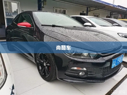尚酷车，速度与激情的极致融合