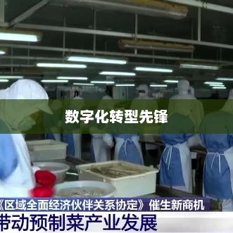 太平洋软件，引领数字化转型浪潮的先锋