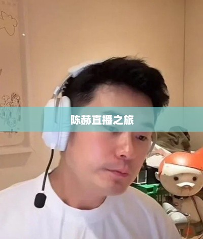 陈赫直播之旅，展现独特风采