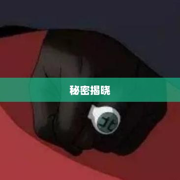 火影忍者349，新征程启程，秘密大揭晓