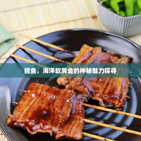 鳗鱼，海洋软黄金的神秘魅力探寻