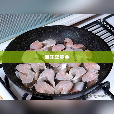 鳗鱼，海洋软黄金的神秘魅力探寻