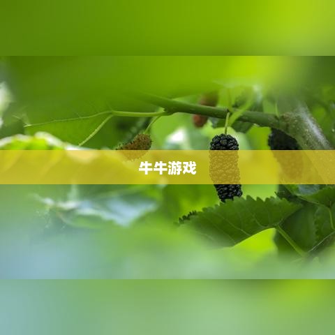 牛牛游戏，乐趣无限的探索之旅