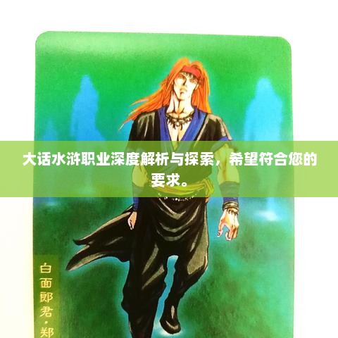 大话水浒职业深度解析与探索，希望符合您的要求。
