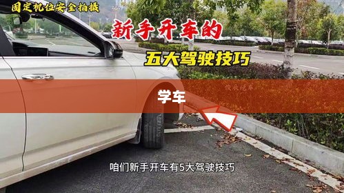 安安学车的蜕变之旅，从新手到熟练驾驶者的进步之路