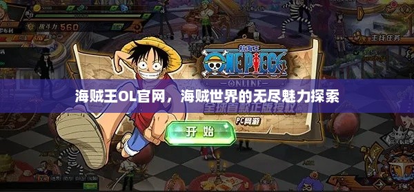 海贼王OL官网，海贼世界的无尽魅力探索