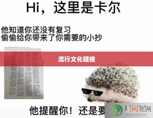 卡尔刺猬梗，网络新宠与流行文化的碰撞