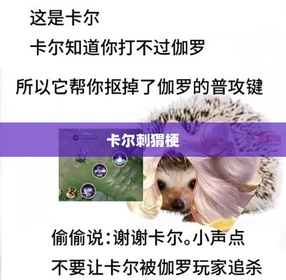 卡尔刺猬梗，网络新宠与流行文化的碰撞