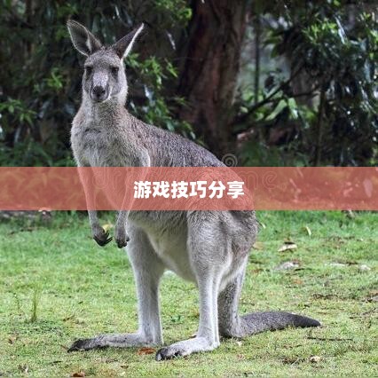 间谍老鼠手游攻略详解与游戏技巧分享，玩转间谍老鼠手游！