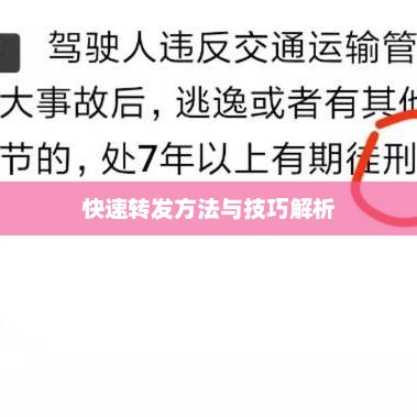 快速转发方法与技巧解析