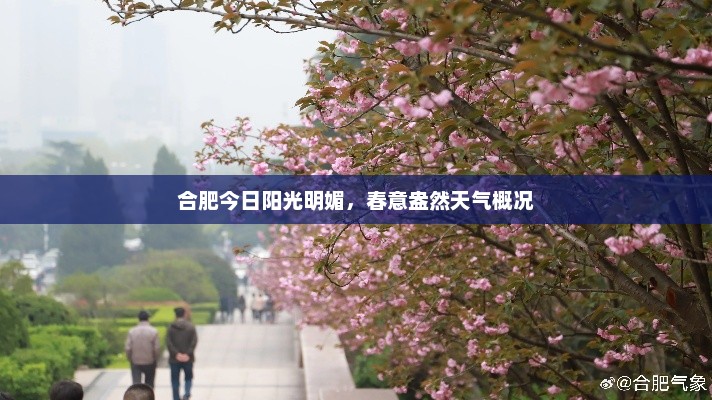 合肥今日阳光明媚，春意盎然天气概况
