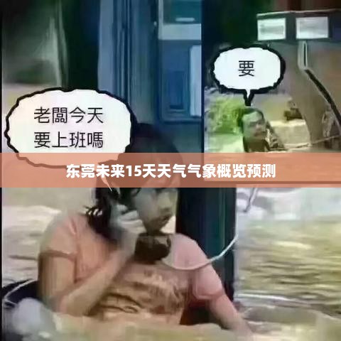 东莞未来15天天气气象概览预测