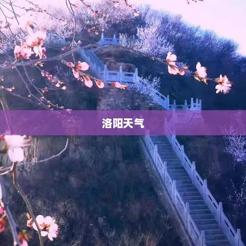 洛阳未来十天详细天气预报概览