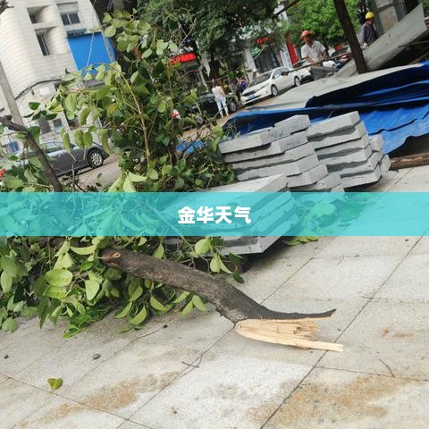 金华一周天气概览报告