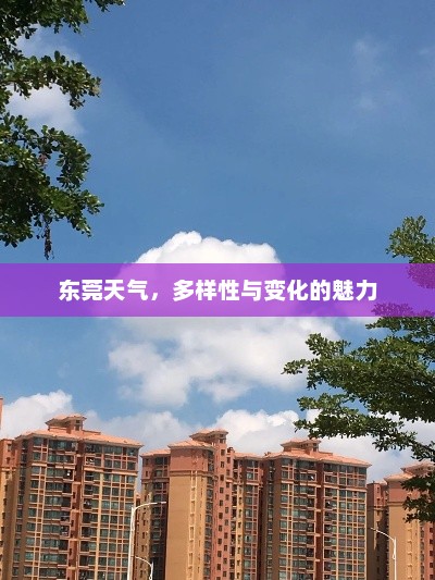 东莞天气，多样性与变化的魅力