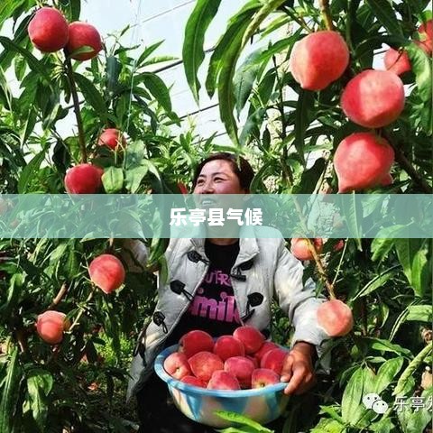 乐亭县气候与天气概览