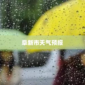 阜新市天气预报概览