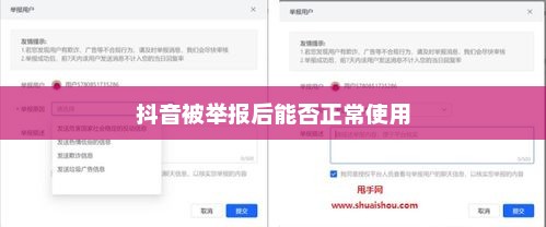 抖音被举报后能否正常使用？探究背后的真相与应对策略