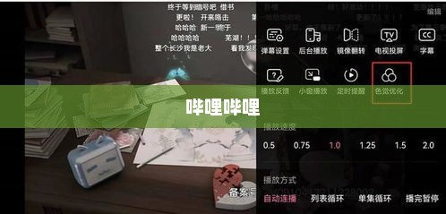 哔哩哔哩色盲模式设置教程