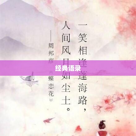 东西不错，经典语录中的搞笑瞬间