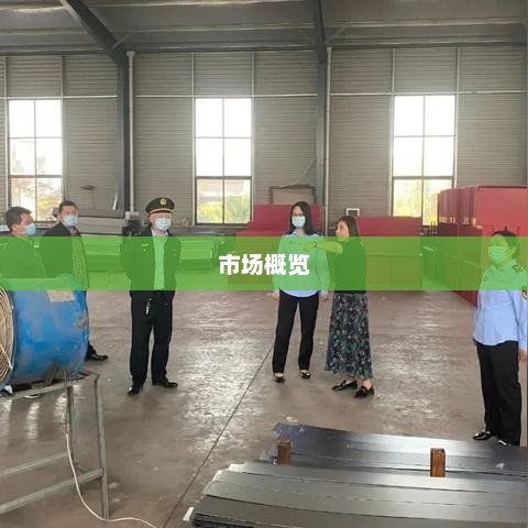 市场概览