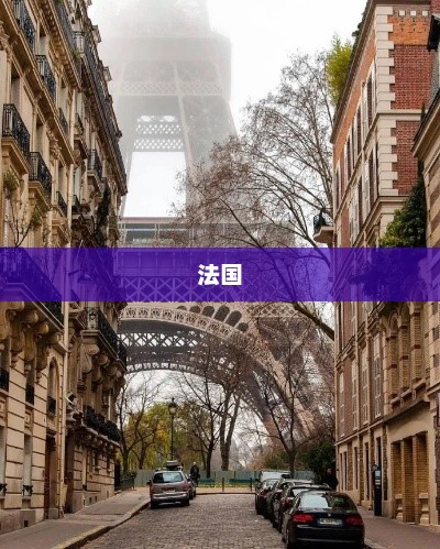 法国鸡蛋供应面临短缺危机，民众偏好廉价蛋白质成主因