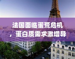 法国遭遇蛋荒危机，蛋白质需求激增引发超市鸡蛋短缺