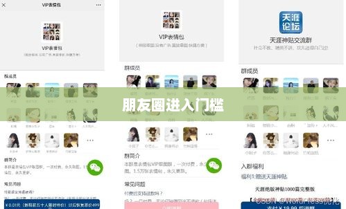 仅聊天模式，朋友圈进入门槛与社交新窗口的探讨