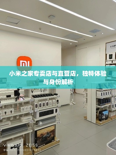 小米之家专卖店与直营店，独特体验与身份解析