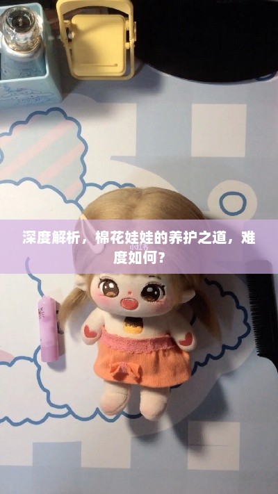 深度解析，棉花娃娃的养护之道，难度如何？