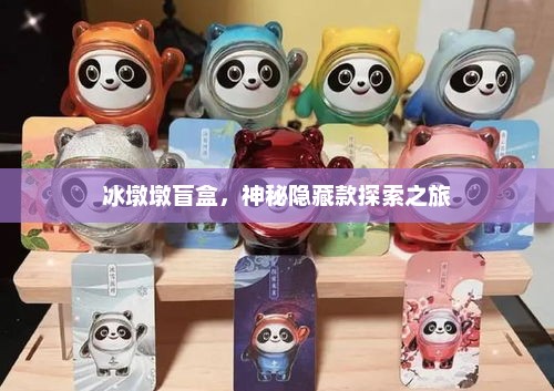 冰墩墩盲盒，神秘隐藏款探索之旅