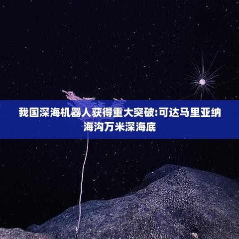 我国深海机器人获得重大突破:可达马里亚纳海沟万米深海底