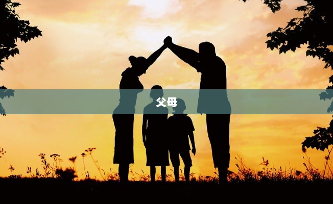 女孩回应从加拿大退学回国考专科?父母卖房凑数十万学费,上海女孩在加拿大留学一年后退学回国自考专科:这条路不适合我 女孩回应从加拿大退学回国考专科?父母卖房凑数十万学费,上海女孩在加拿大留学一年后退学回国自考专科:这条路不适合我