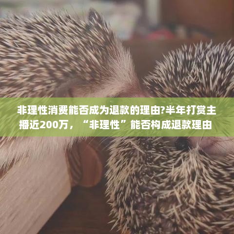 非理性消费能否成为退款的理由?半年打赏主播近200万，“非理性”能否构成退款理由 | 快评