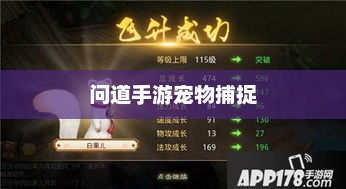 问道手游宠物捕捉攻略,轻松掌握捕捉技巧
问道手游,宠物捕捉全攻略 问道手游宠物捕捉攻略,轻松掌握捕捉技巧
问道手游,宠物捕捉全攻略