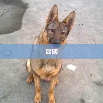 侯佩岑见证吴宣仪成团之夜，昆明石林录制现场低温下的成团揭秘