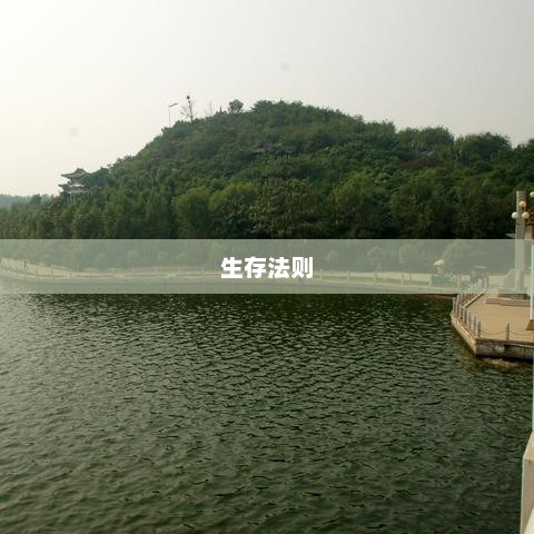大鱼吃小鱼，生存法则与生态平衡深度解析
