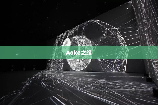 Aoke之旅，科技与艺术的完美融合