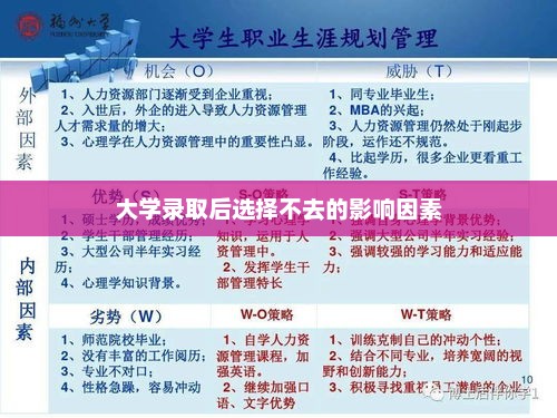 解读大学录取后选择不去的影响因素及决策考量