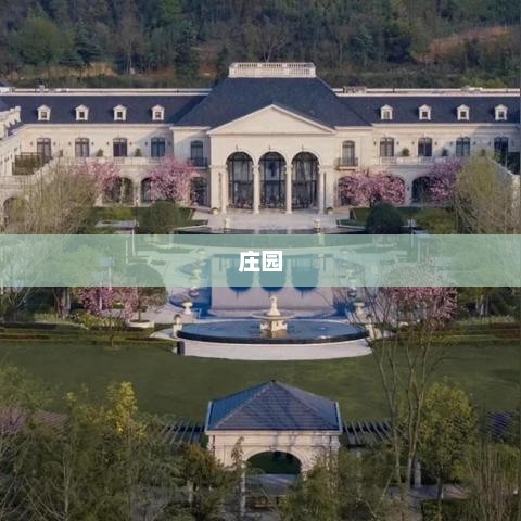 蚂蚁庄园今日答案揭秘，最新动态更新，2025年3月28日揭秘！